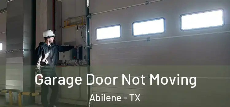  Garage Door Not Moving Abilene - TX