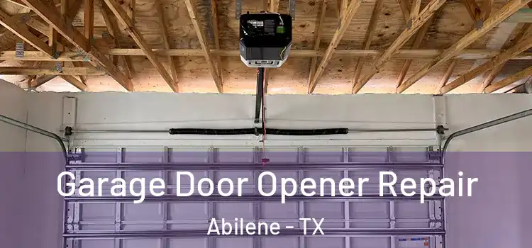  Garage Door Opener Repair Abilene - TX